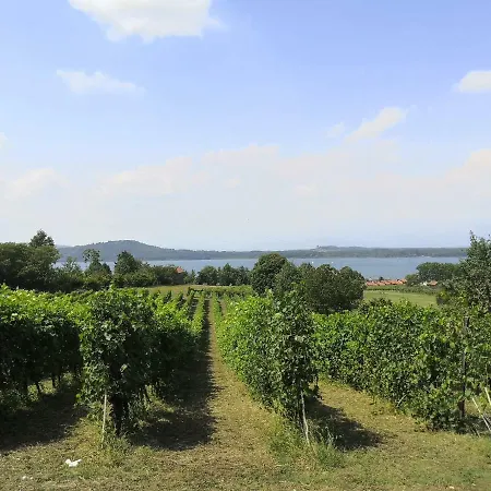 Slowliday بيت للعطل *